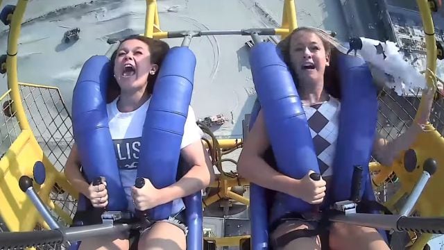 La gaviota y la niña se encuentran bien luego de que esta se estrellara