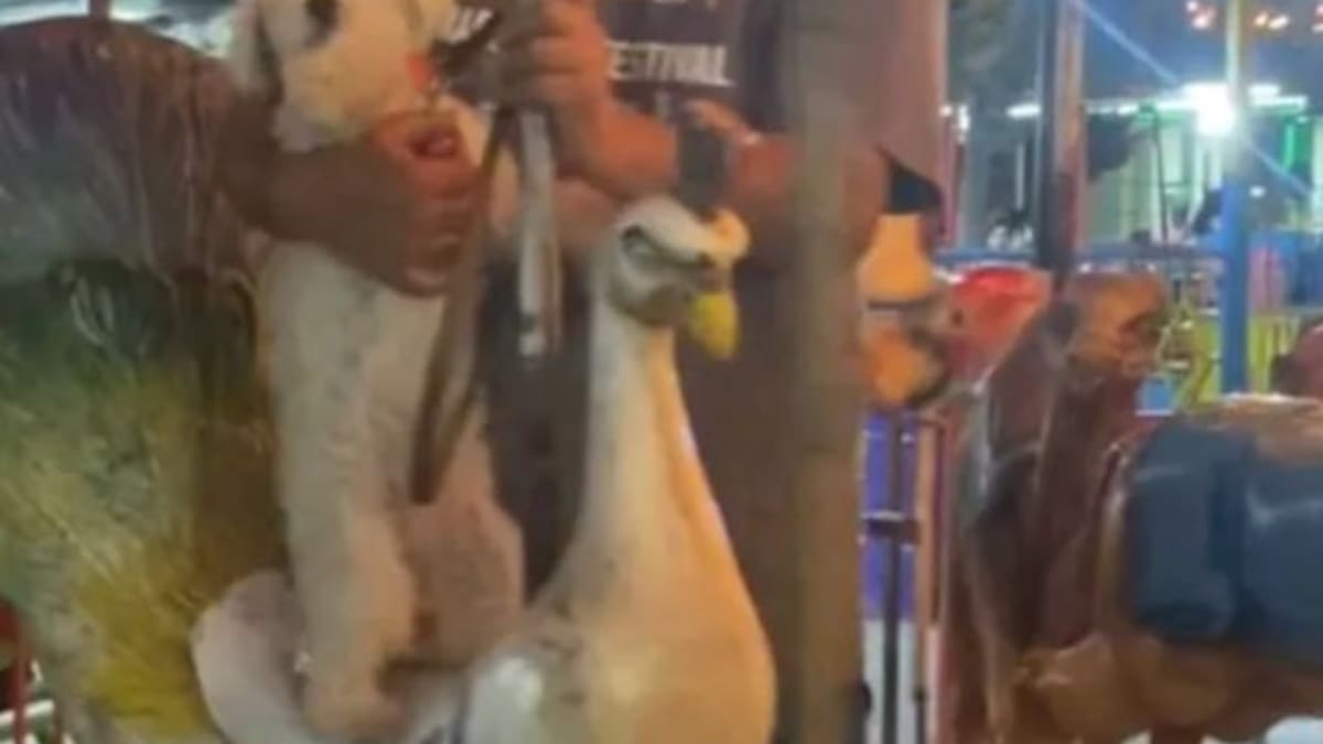 Abuelito se hace VIRAL al subirse al carrusel con su perrito
