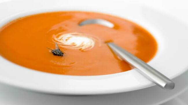 Mosca sobre sopa