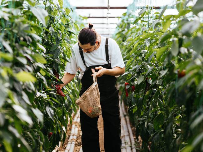 El 23 de enero se conmemora el día de la Agroecología