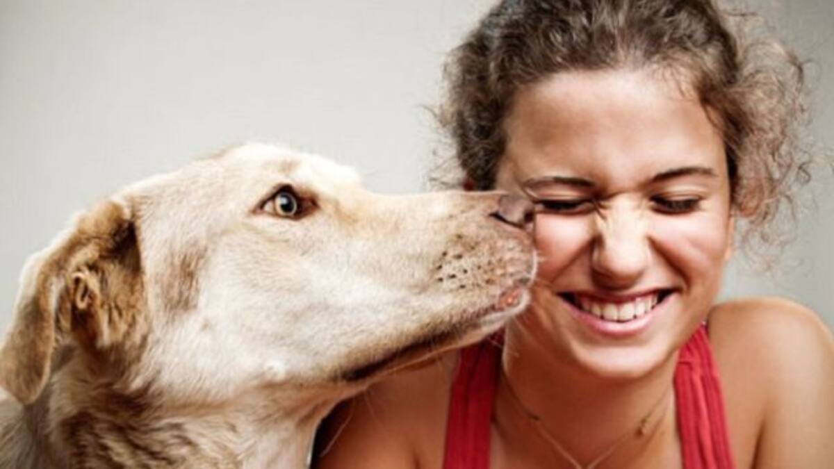Los perros pueden leer las emociones humanas