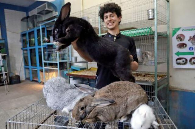 El joven tiene la intención de reproducirlos a gran escala