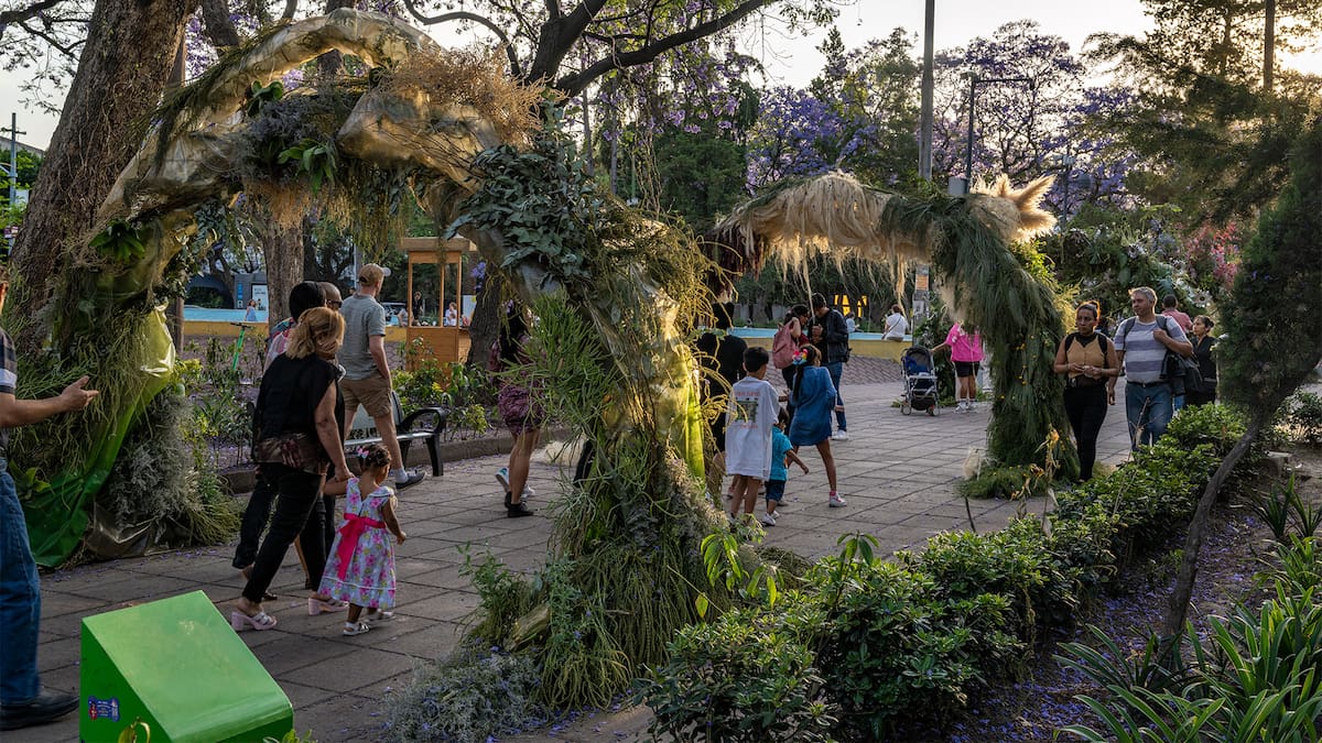 El Festival de Flores y Jardines 2026 transforma Polanco en un oasis urbano