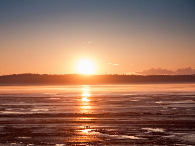 Detalles del solsticio de verano