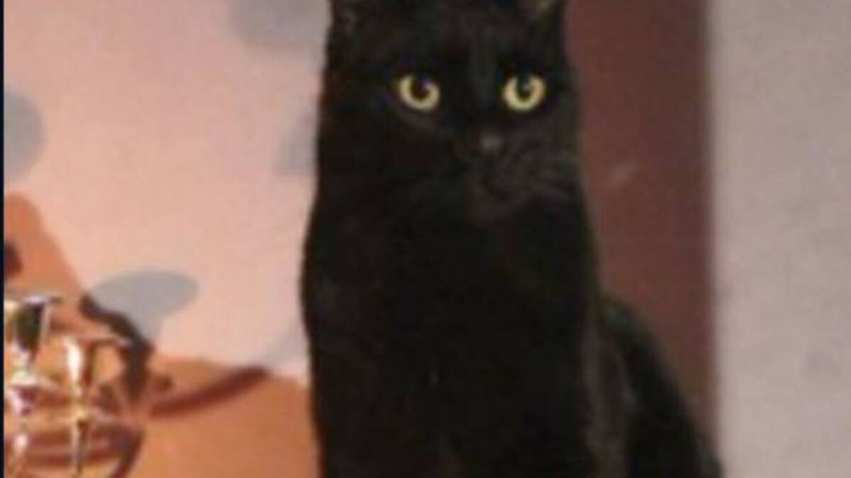 ¿Salem se despide del elenco de Sabrina?