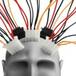 Se logra conectar un cerebro con internet