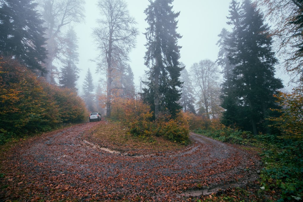 ARTVIN, TURKIYE - OCTOBER 14: A view of Turkish city Artvin&#039;s mountainous geography, showcase a transformation of nature during the autumn season, presenting a variety of colors on October 14, 2024. In Savsat, Borcka Karagol, and the Hatila Valley, the vegetation turns to shades of yellow, orange, and brown, often blending with clouds and mist that descend into the slopes. (Photo by Mehmet Aslan/Anadolu via Getty Images)