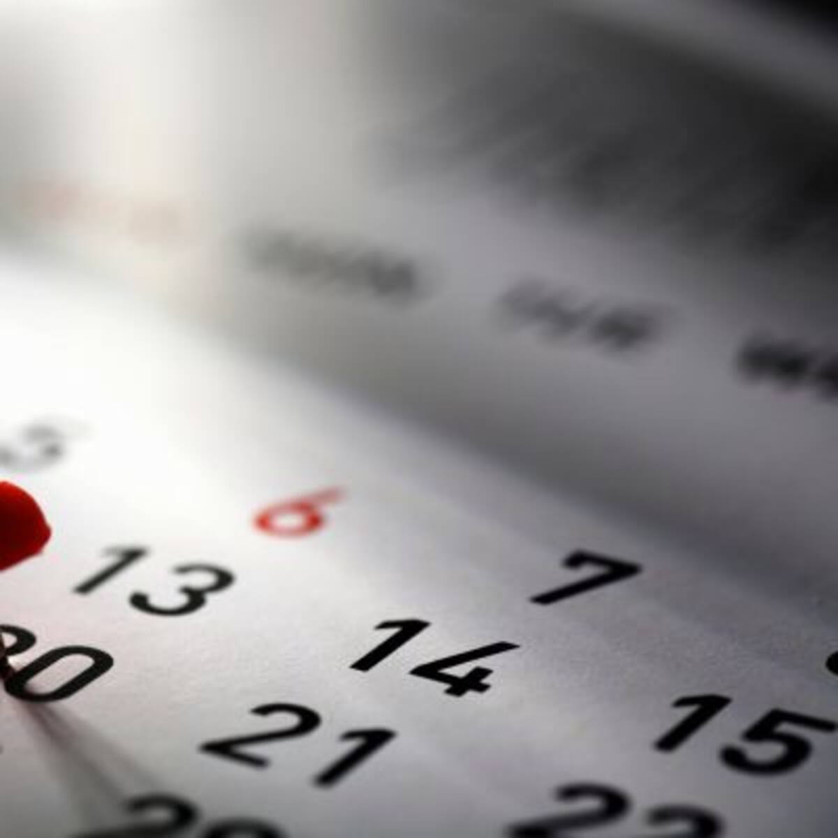 Los días feriados que aún quedan en el año