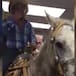 Entra con su caballo a minisúper a comprar cervezas
