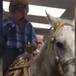 Entra con su caballo a minisúper a comprar cervezas