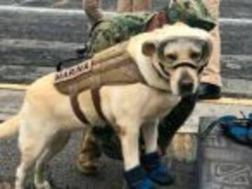 ¿Conoces a Marina- Chan?