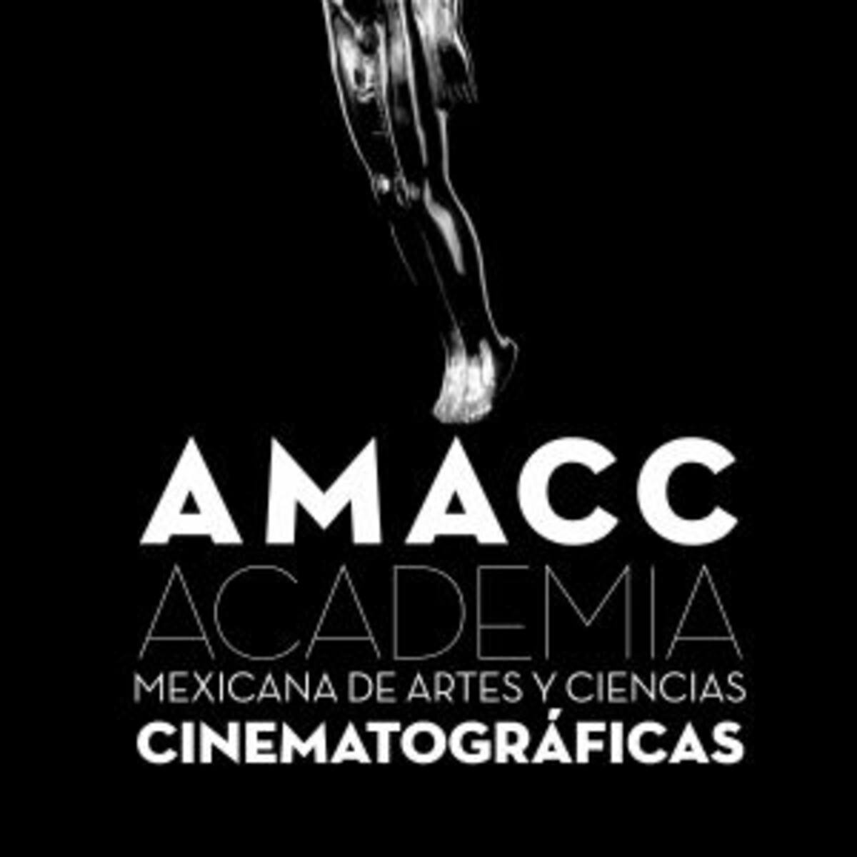 Nominados al Premio Ariel 2015