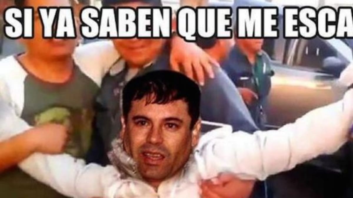 #Top Ten: Me Buscan Como Al Chapo…