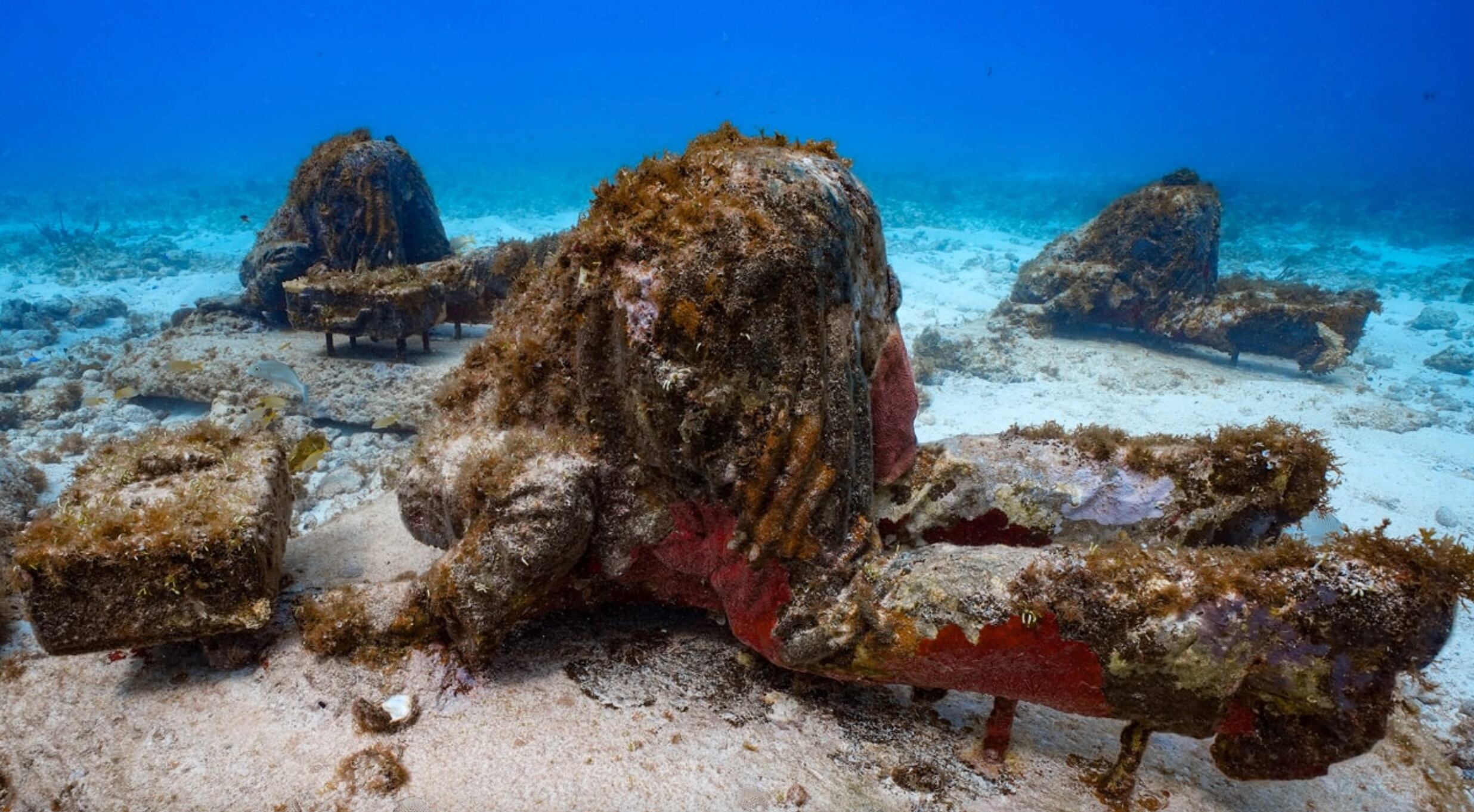 Museo de Arte Subacuático
