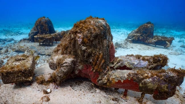 Museo de Arte Subacuático