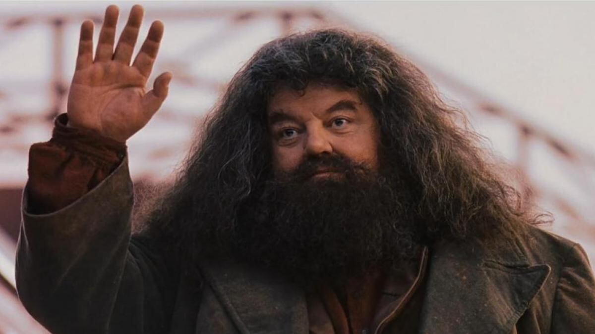 Hagrid Harry Potter Muerte