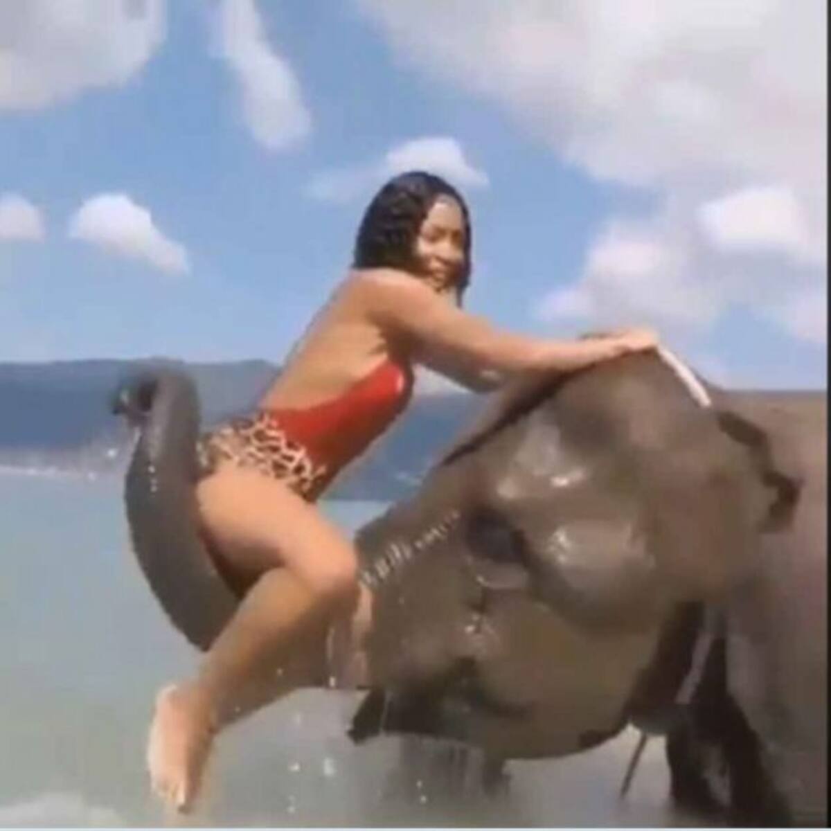 Quería una foto sexy sobre un elefante y resultó lo contrario