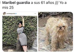 Memes perrito de Maribel Guardia