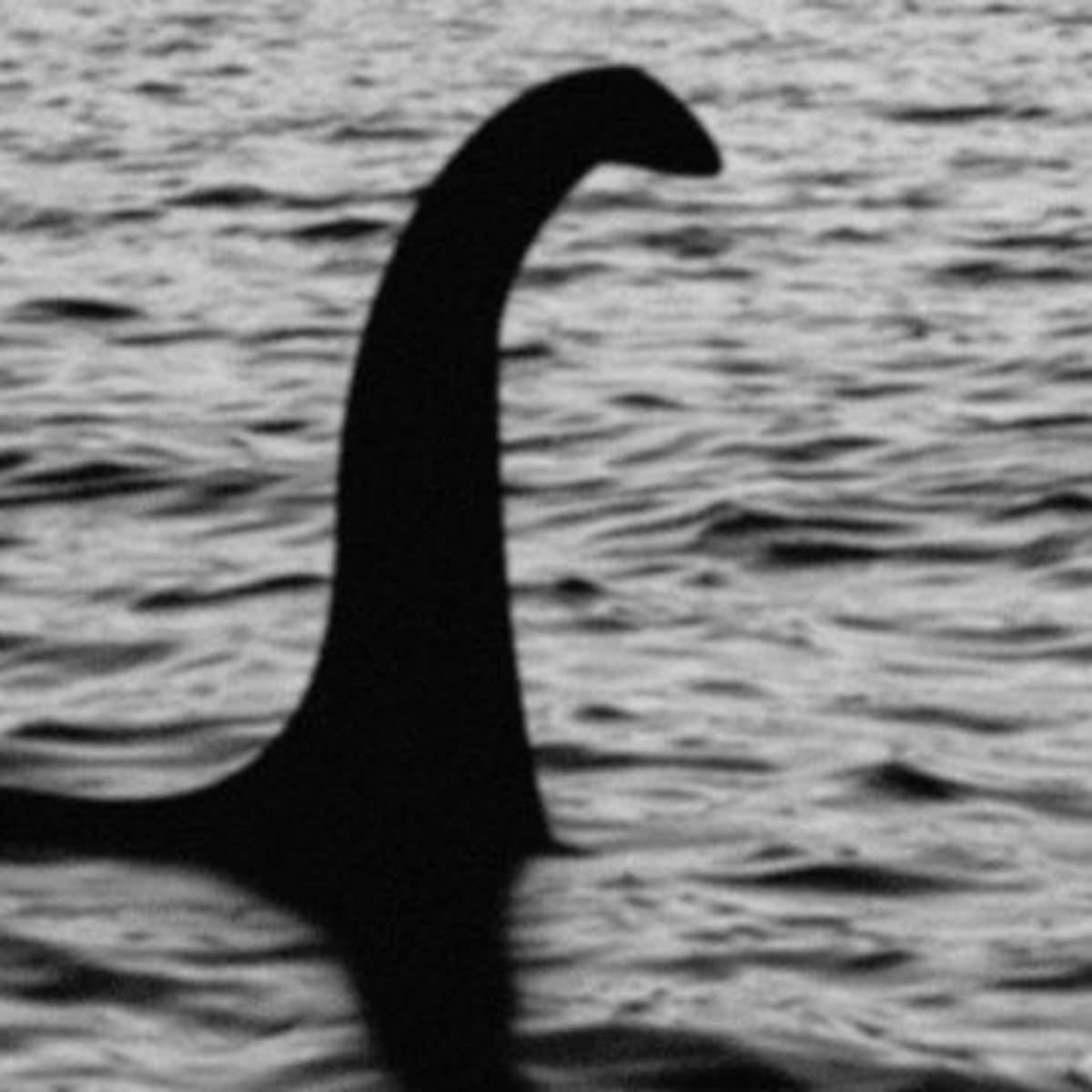Niña toma foto del monstruo del lago Ness