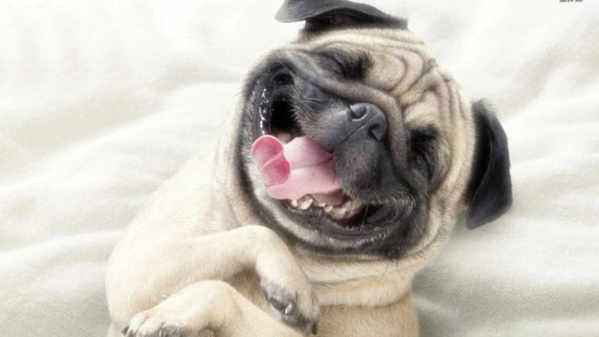 #Todo Era Sonrisa Hasta Que