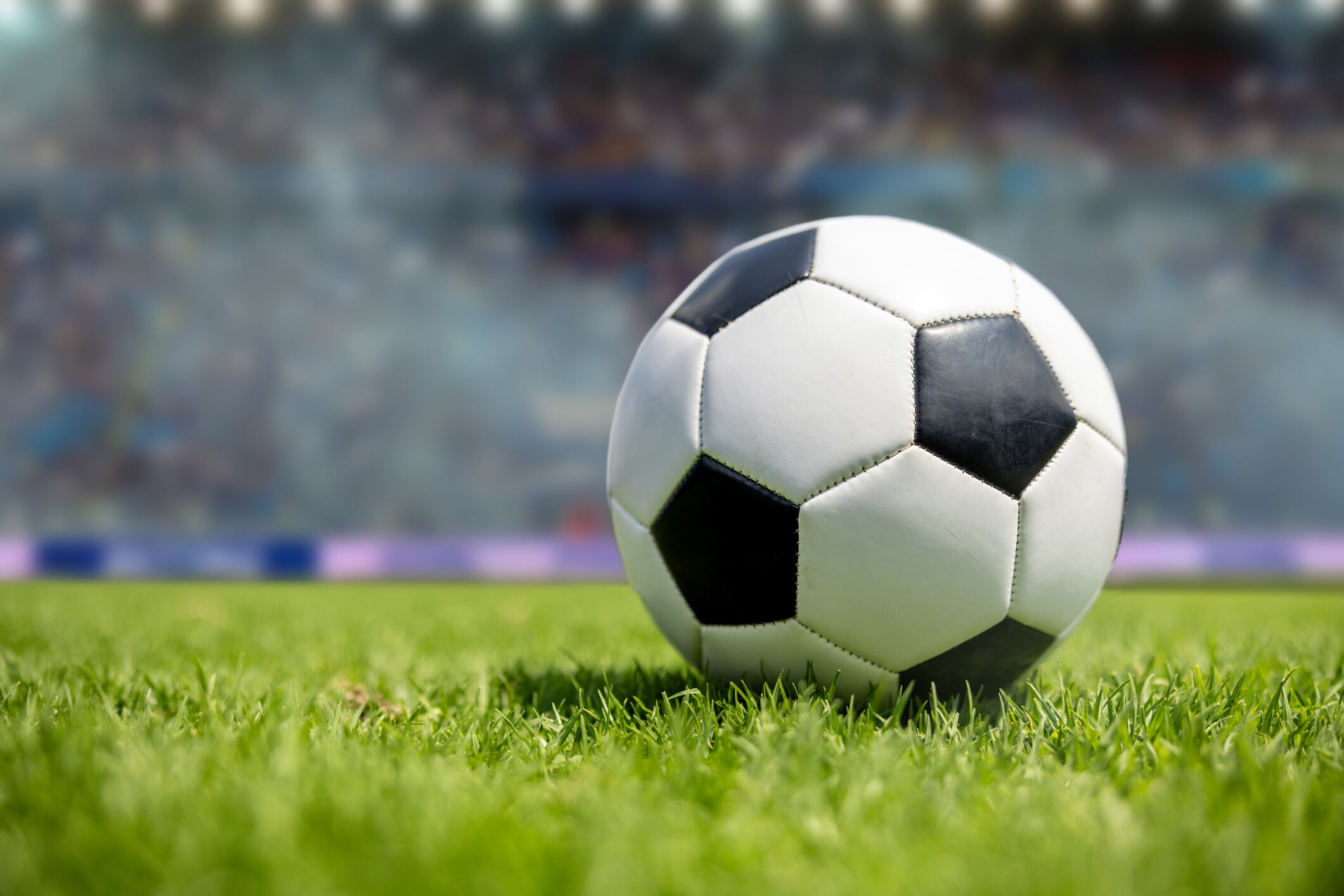 FIFA venderá el césped del Mundial