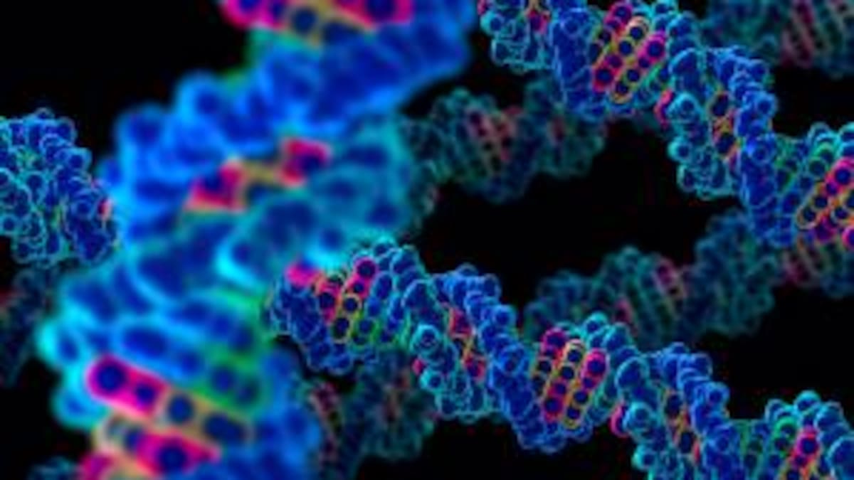 Cuidado si eres infiel, ya que un Gen te puedo decir si eres o no infiel.