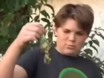 Esta fue la causa de la muerte de Chimuelo