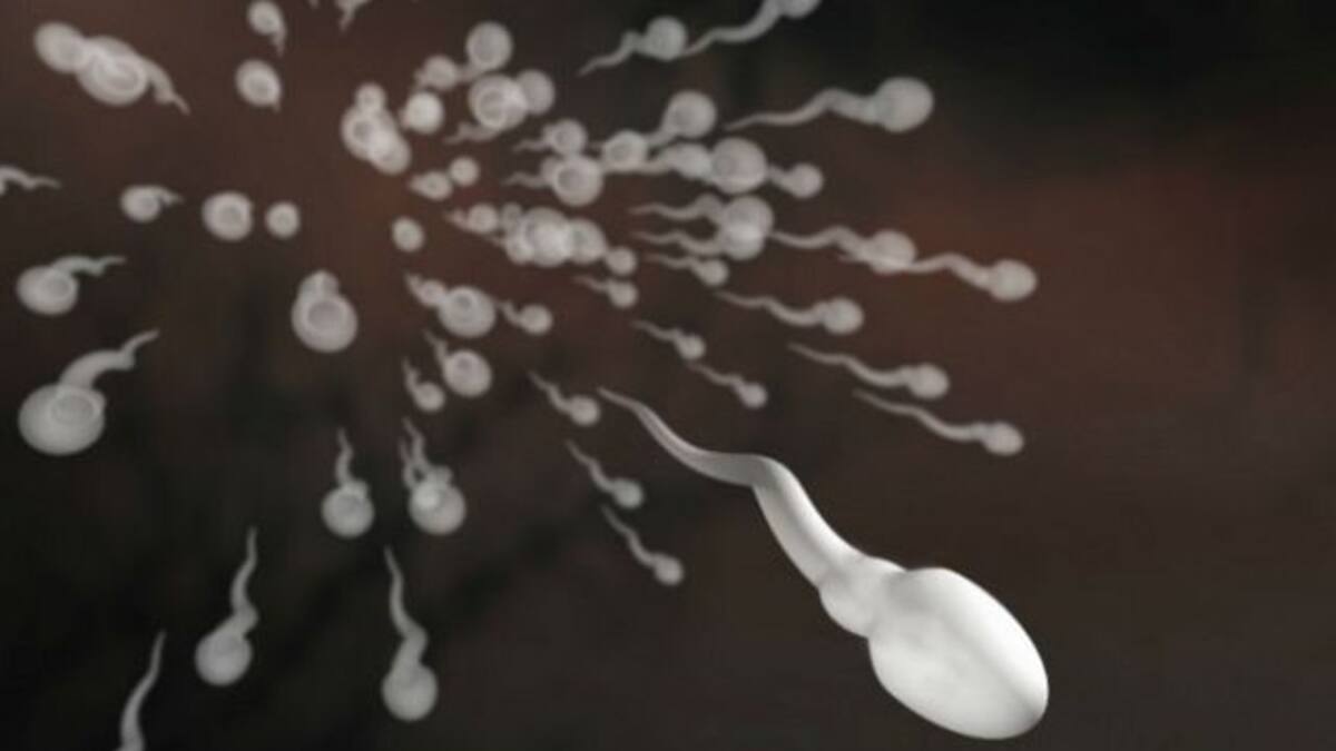 Anticonceptivo masculino