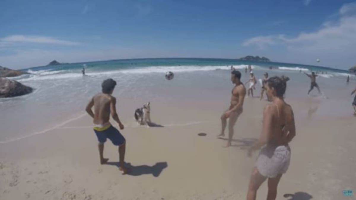 Mira como éste perro domina el balón