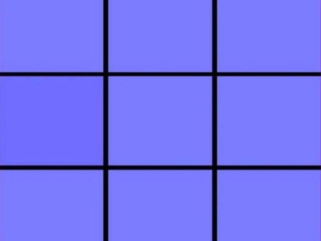 Reto visual: Cuál de los cuadros tiene un color diferente