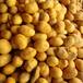 Venden “cacahuates mexicanos” en Japón