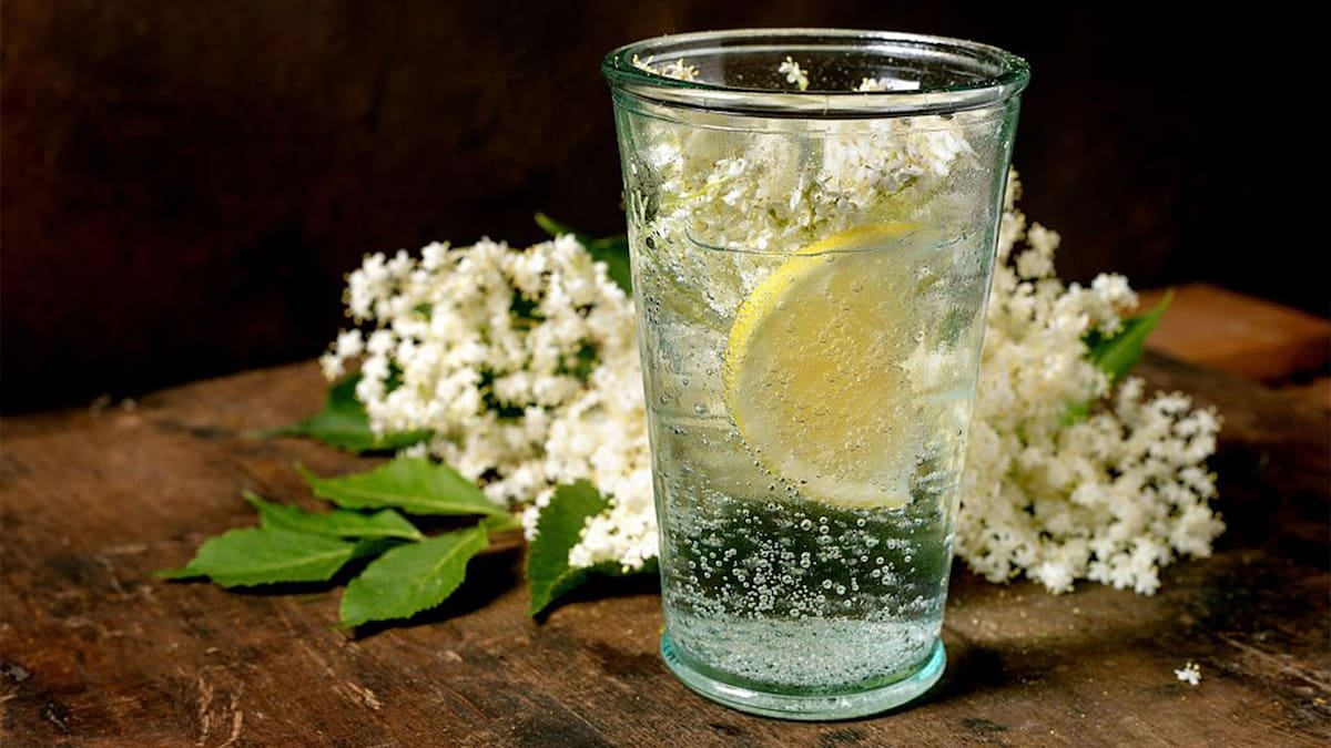 ¿Tu obsesión por el agua mineral o seltzerz está dañando tus dientes? Lo que la ciencia dice hoy