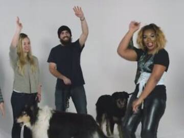 YouTube: ¿Los perros se parecen a sus dueños?