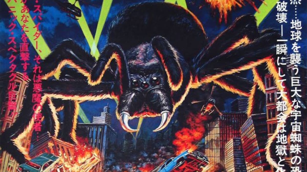 Arañas violinistas invaden la CDMX