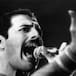 Freddie Mercury, sigue en la memoria del mundo