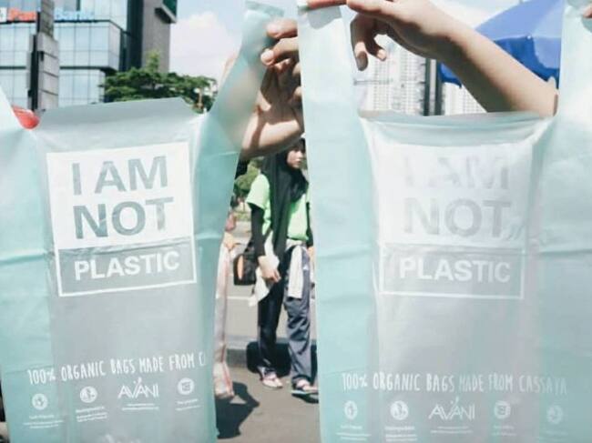 Una alternativa para cuidar del ecosistema marino