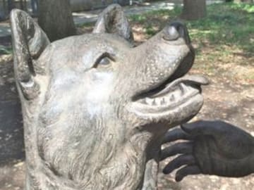 Hachiko tiene una segunda estatua en la que está con su dueño y es conmovedora