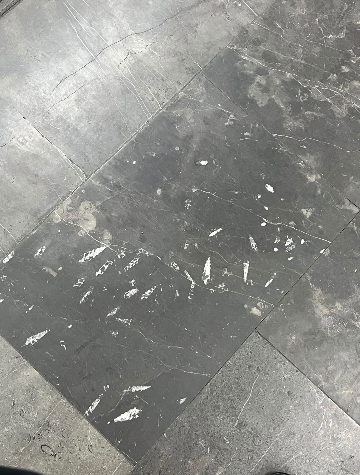 Fotografia de Victor Lugo miembro del grupo de Facebook "Fósiles del metro de la CDMX o escondidos por la ciudad"