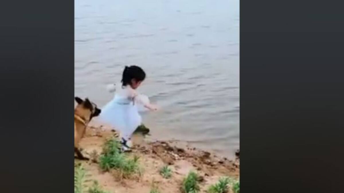 Perrito evita que niña caiga a un río