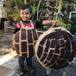 Niño pide que su fiesta de cumpleaños sea de ¡concha!