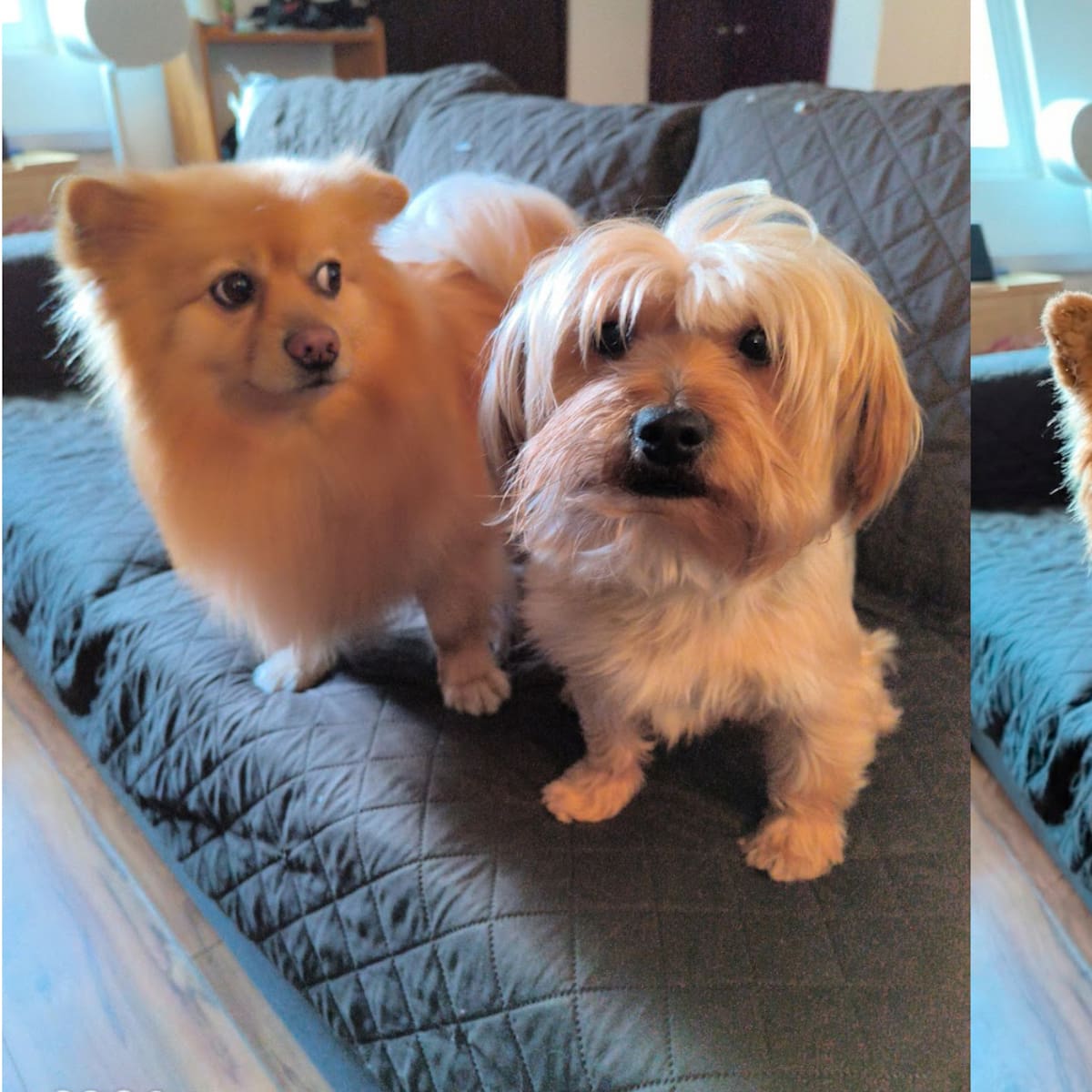 Google revoluciona la creación de imágenes con la llegada de Nano Banana 2. Primeras impresiones