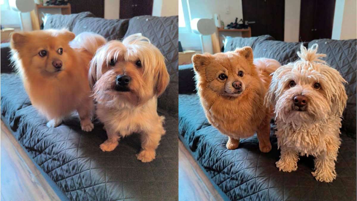 Google revoluciona la creación de imágenes con la llegada de Nano Banana 2. Primeras impresiones