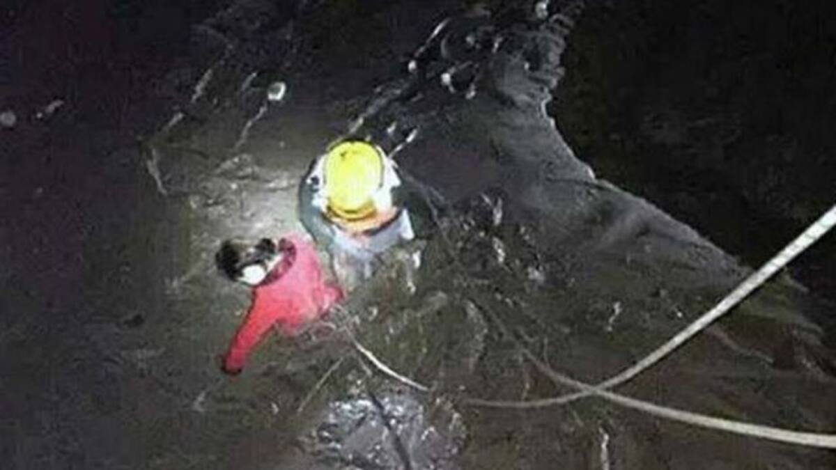 ¿Tu actual pareja o tu ex?