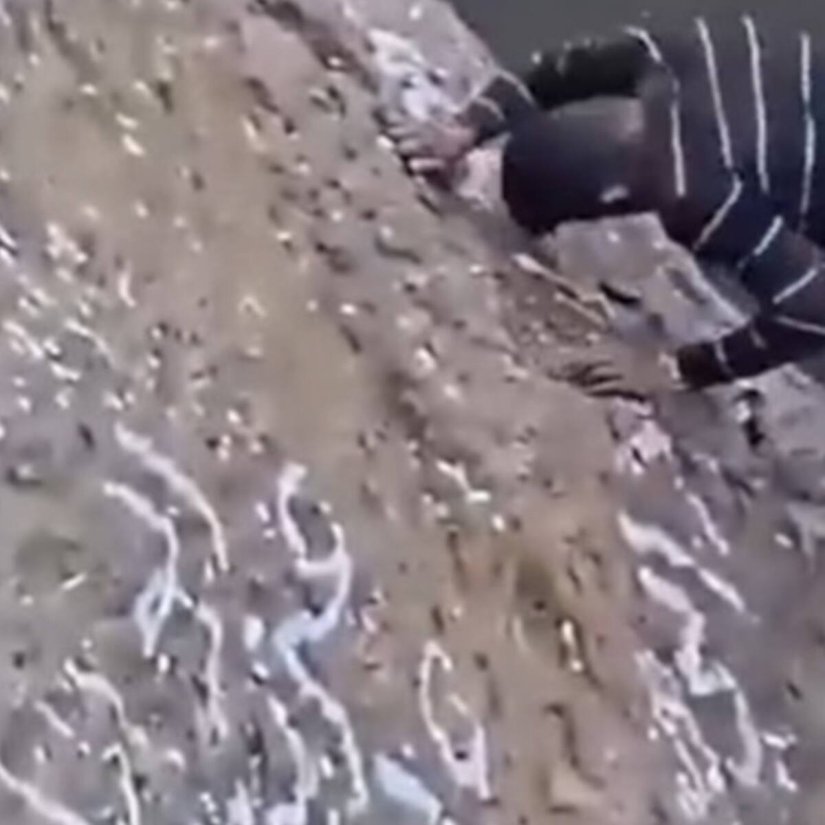 Video|Muere el “Spider-Man del Yemen” tras escalar sin protección y caerse dentro del cráter de un volcán