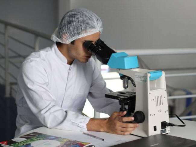 Fotografía: Unsplash