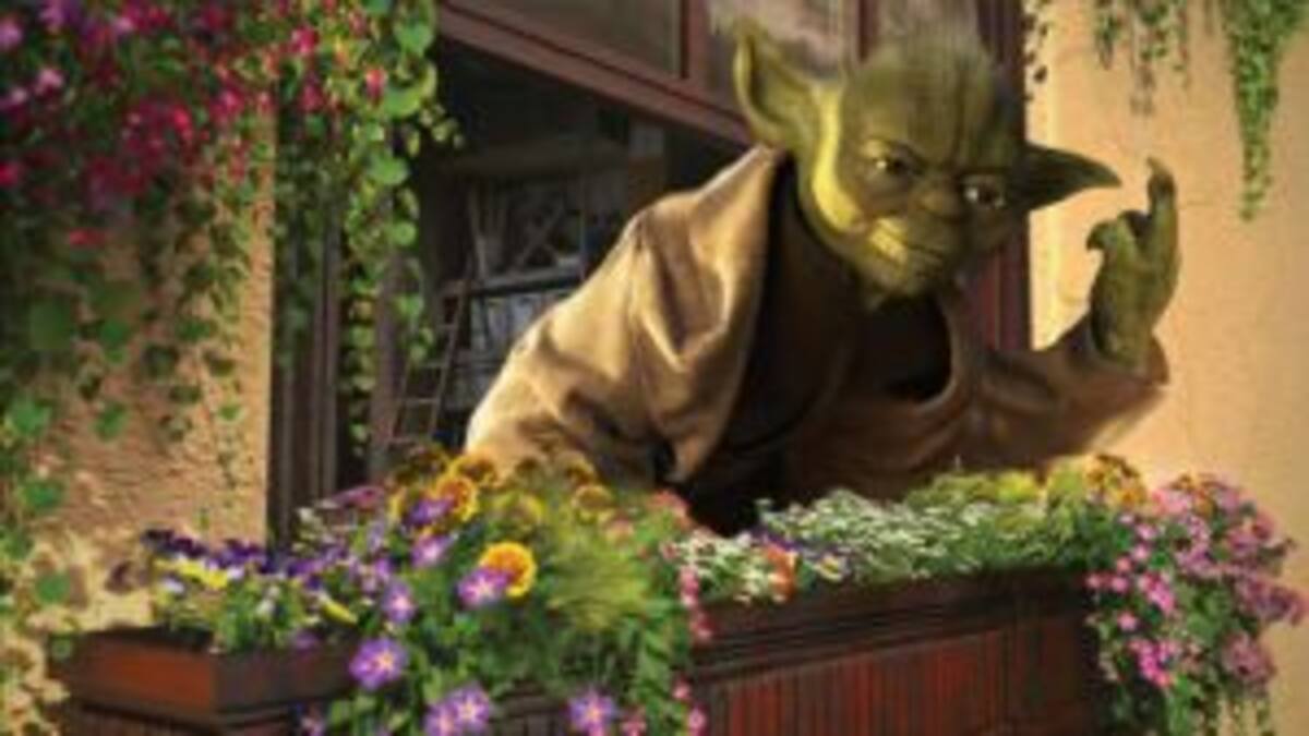 Los personajes de Star Wars de vacaciones