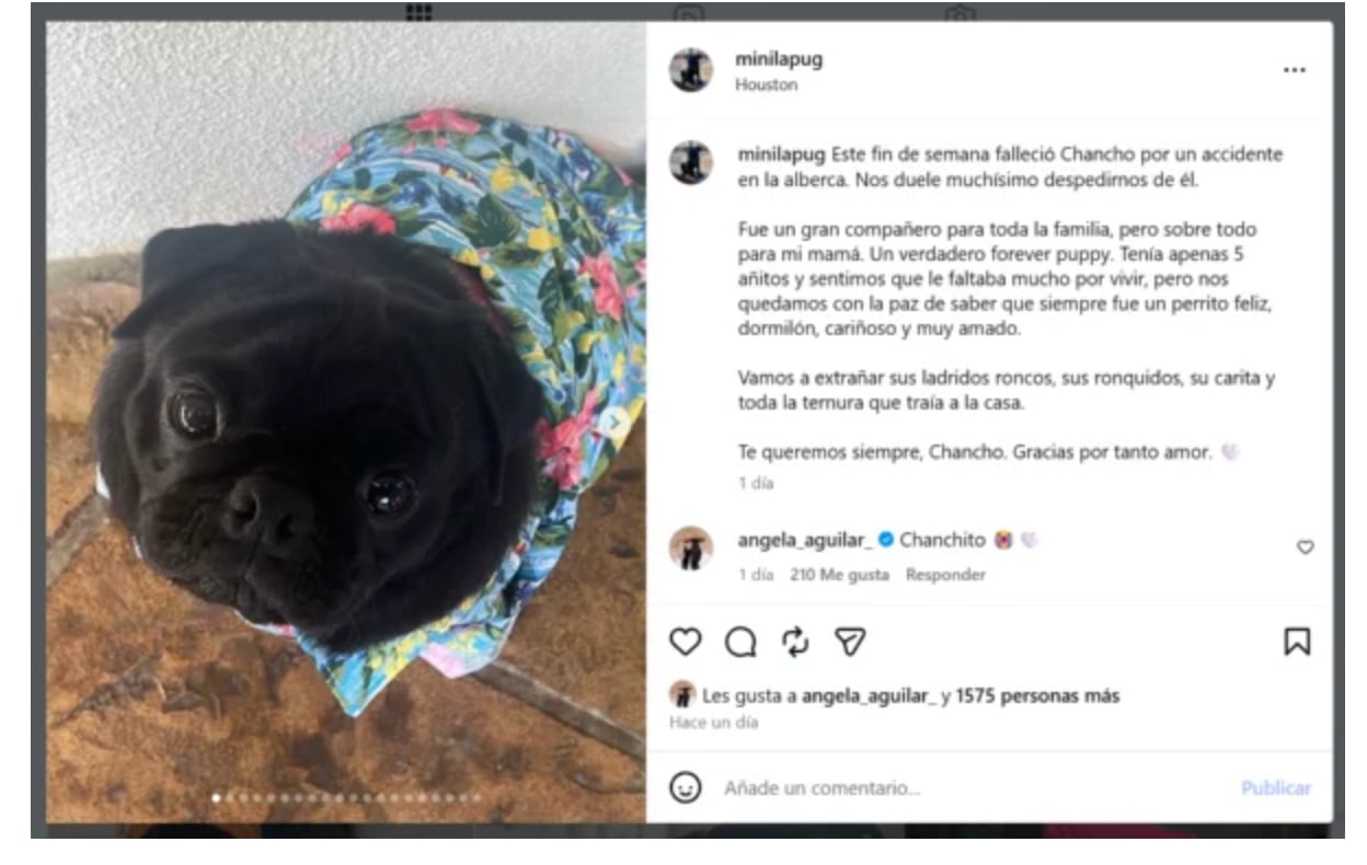 Chanchito murió, era un miembro muy querido de la familia Aguilar