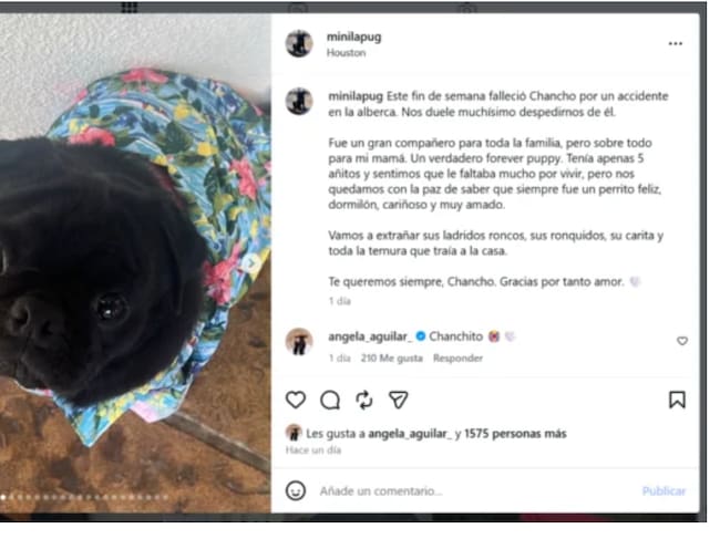 Chanchito murió, era un miembro muy querido de la familia Aguilar
