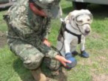 Frida, una heroína entre los escombros