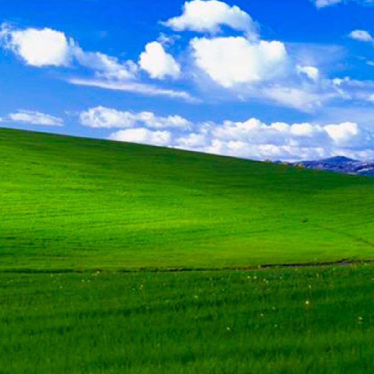 Mujer se hace viral al mostrar paisaje idéntico al fondo de Windows XP